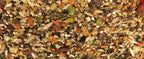 Bourke's Parakeet Food Mix