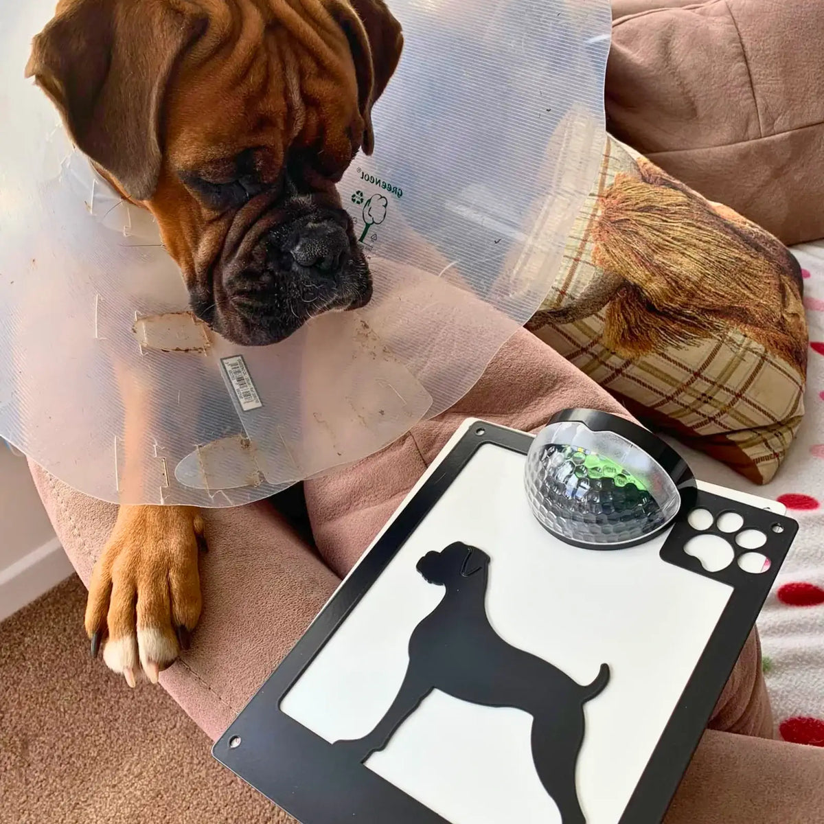 Boxer Dog Solar Wall Plaque