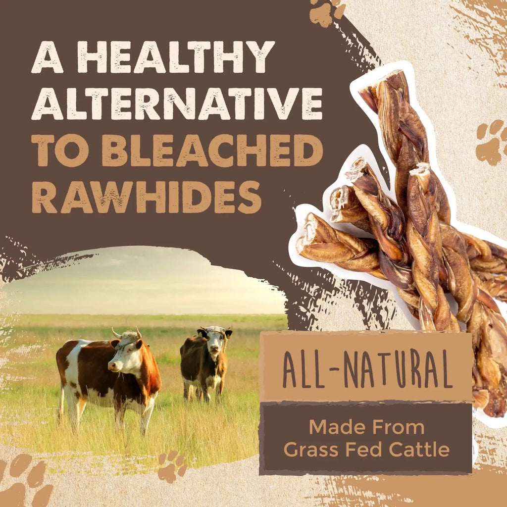 Braided Bully Sticks for Medium and Large Dogs, Single-Ingredient Grass-Fed Beef Chews in a 5 Pack Variety