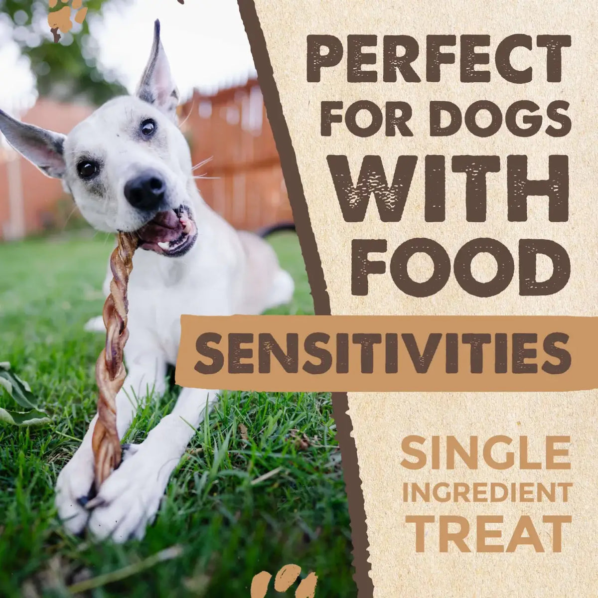 Braided Bully Sticks for Medium and Large Dogs, Single-Ingredient Grass-Fed Beef Chews in a 5 Pack Variety