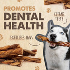 Braided Bully Sticks for Medium and Large Dogs, Single-Ingredient Grass-Fed Beef Chews in a 5 Pack Variety