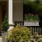 Brixton Railing Planter for Windows and Balconies, Modern Geometric Design in Black, Gray, or White