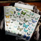 Butterfly Rub-on Stickers in a Three-S — Butterflies / 3 Sheets of Stickers ONLY / Butterflies / 3 Sheets of Stickers & Cloth