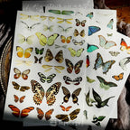 Butterfly Rub-on Stickers in a Three-Sheet Pack for Adding Decorative Motifs to Creative Craft Projects