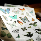 Butterfly Rub-on Stickers in a Three-Sheet Pack for Adding Decorative Motifs to Creative Craft Projects
