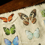 Butterfly Rub-on Stickers in a Three-Sheet Pack for Adding Decorative Motifs to Creative Craft Projects