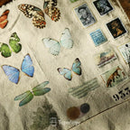 Butterfly Rub-on Stickers in a Three-Sheet Pack for Adding Decorative Motifs to Creative Craft Projects