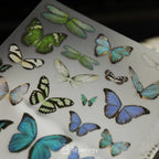 Butterfly Rub-on Stickers in a Three-Sheet Pack for Adding Decorative Motifs to Creative Craft Projects