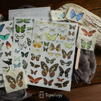 Butterfly Rub-on Stickers in a Three-Sheet Pack for Adding Decorative Motifs to Creative Craft Projects
