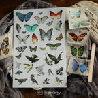 Butterfly Rub-on Stickers in a Three-Sheet Pack for Adding Decorative Motifs to Creative Craft Projects