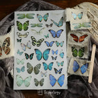 Butterfly Rub-on Stickers in a Three-Sheet Pack for Adding Decorative Motifs to Creative Craft Projects