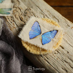 Butterfly Rub-on Stickers in a Three-Sheet Pack for Adding Decorative Motifs to Creative Craft Projects