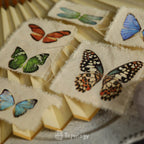 Butterfly Rub-on Stickers in a Three-Sheet Pack for Adding Decorative Motifs to Creative Craft Projects