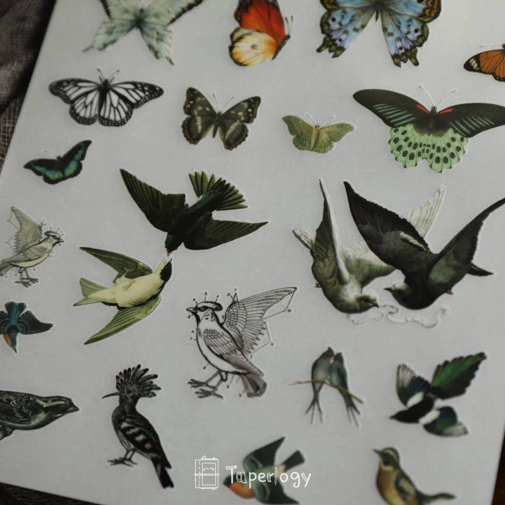 Butterfly Rub-on Stickers in a Three-Sheet Pack for Adding Decorative Motifs to Creative Craft Projects