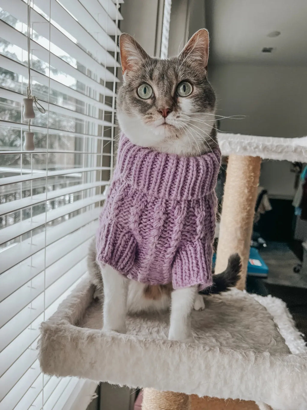 Cable Knit Dog Sweater in Lavender
