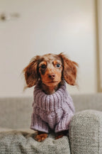 Cable Knit Dog Sweater in Lavender