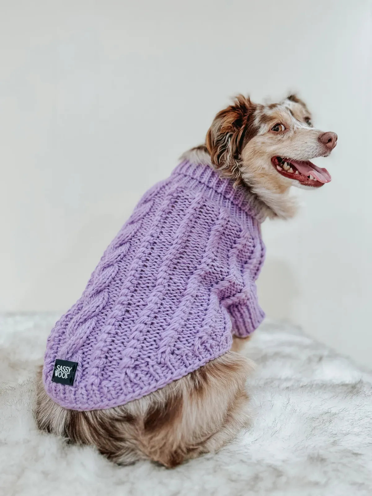 Cable Knit Dog Sweater in Lavender