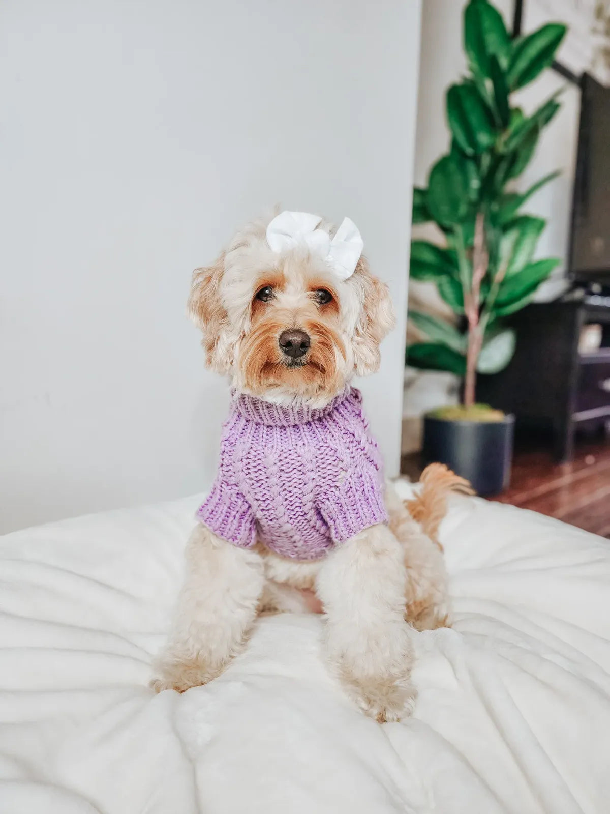 Cable Knit Dog Sweater in Lavender