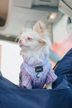 Cable Knit Dog Sweater in Lavender