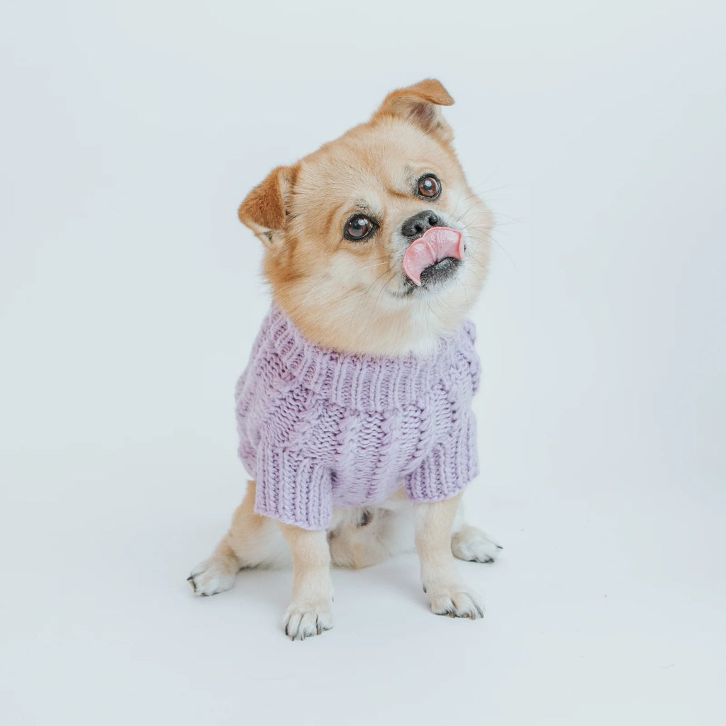 Cable Knit Dog Sweater in Lavender