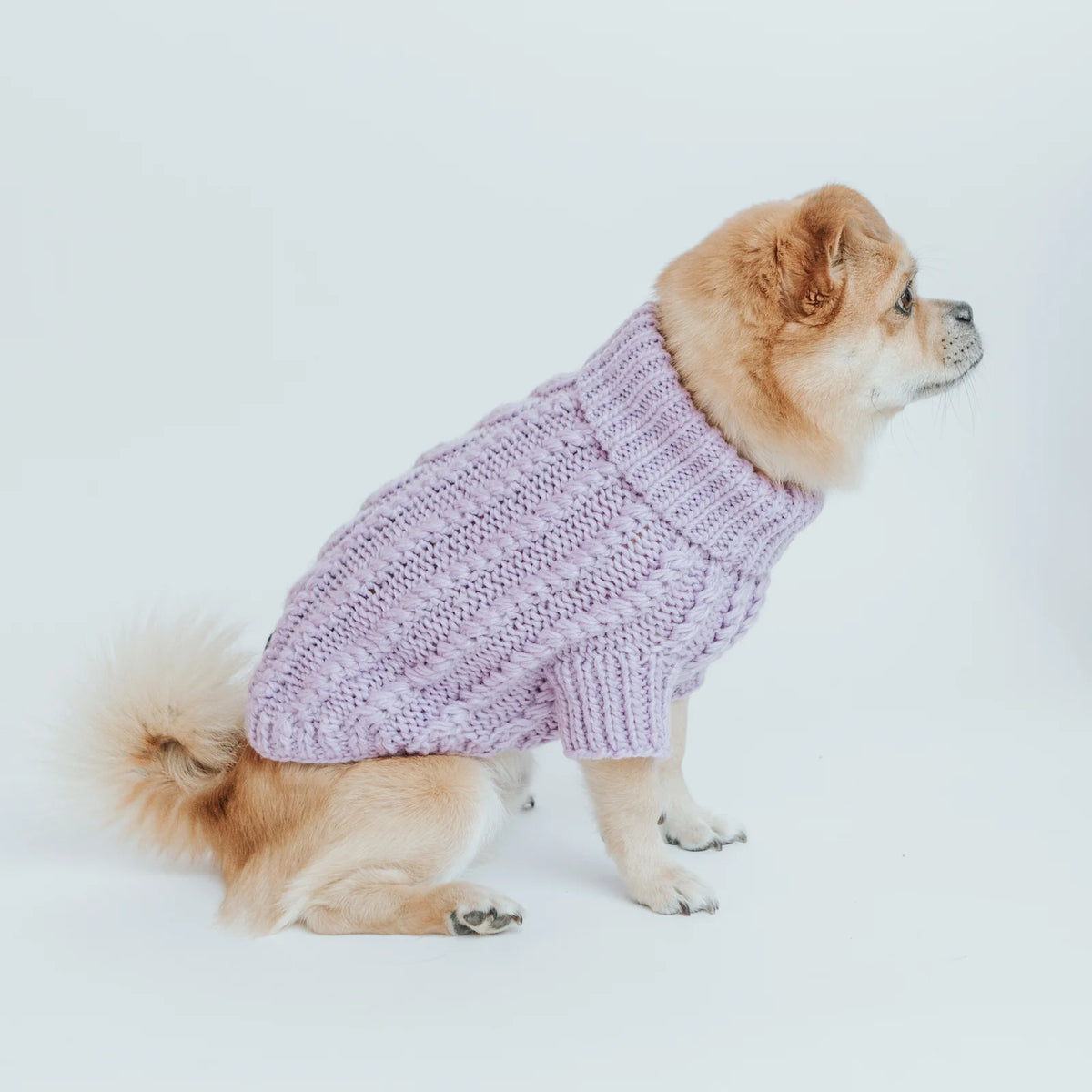 Cable Knit Dog Sweater in Lavender