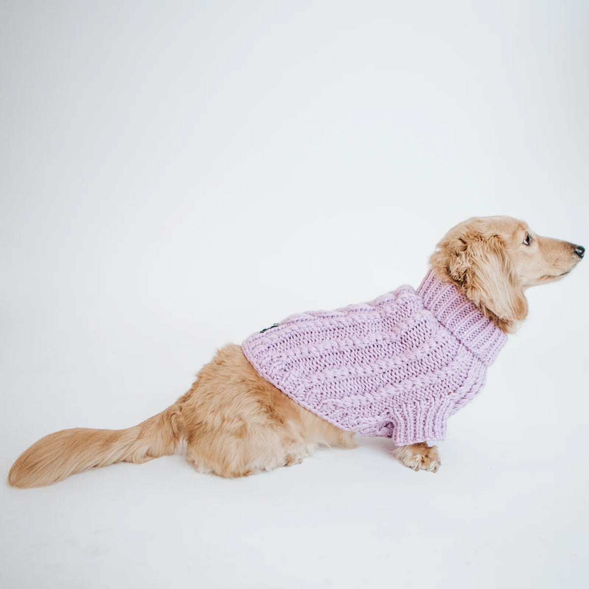 Cable Knit Dog Sweater in Lavender