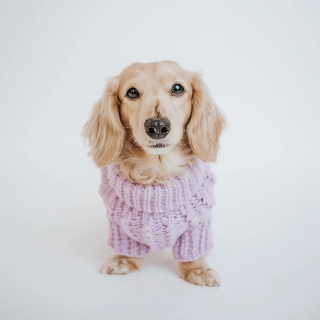 Cable Knit Dog Sweater in Lavender