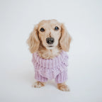 Cable Knit Dog Sweater in Lavender