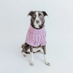 Cable Knit Dog Sweater in Lavender