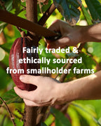 Cacao Powder