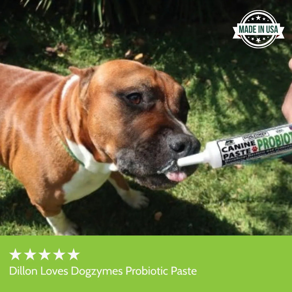 Canine Probiotic Paste