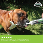 Canine Probiotic Paste