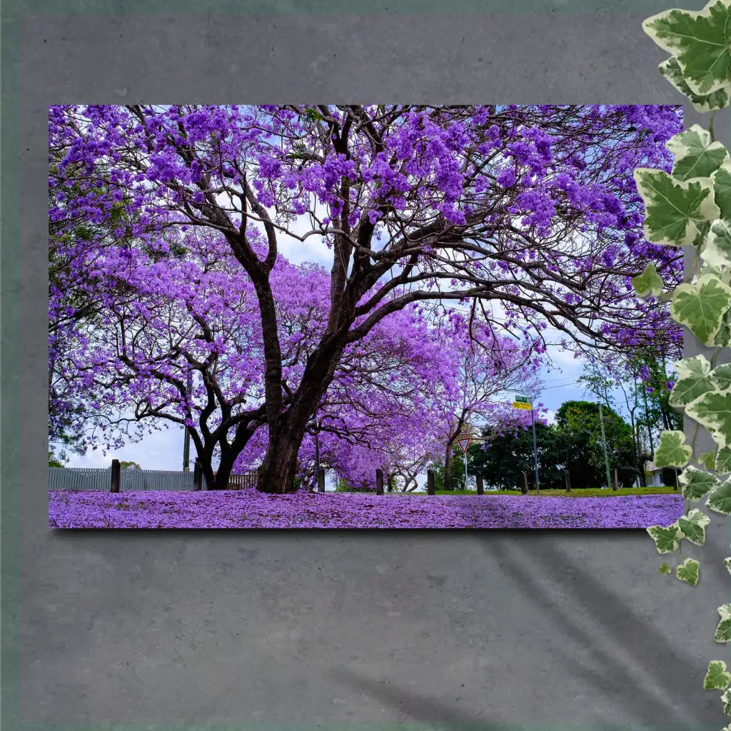Canvas Wall Art