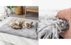 Cat Bed
