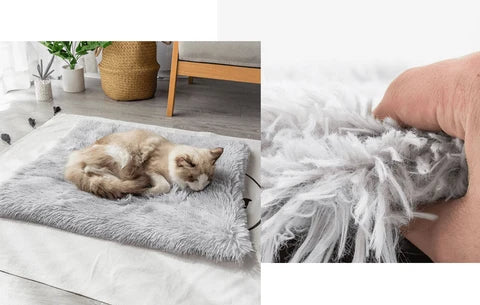 Cat Bed