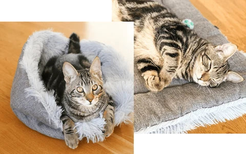 Cat Bed