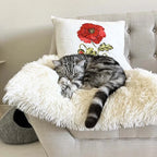 Cat Bed