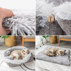 Cat Bed