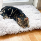 Cat Bed