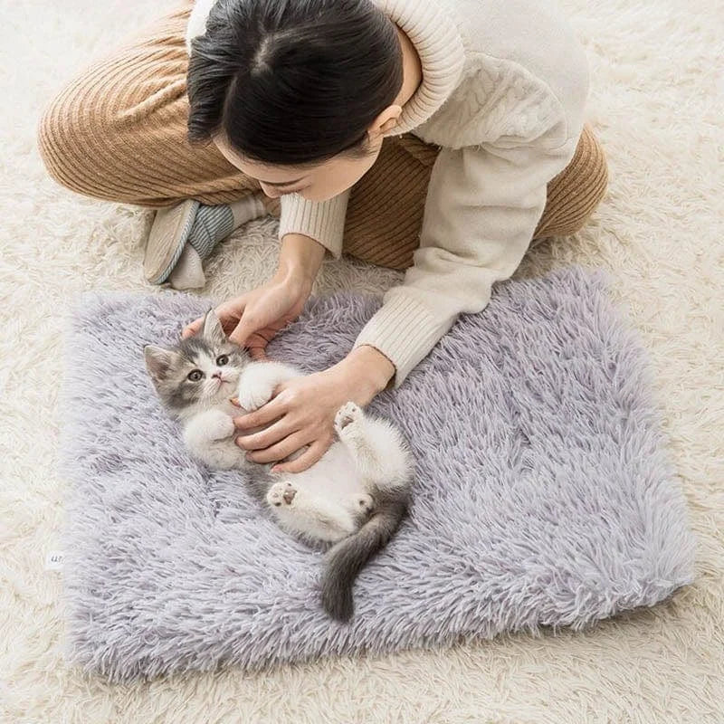 Cat Bed