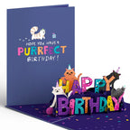 Cat Birthday Pop-Up Greeting Card