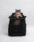 Cat Carrier Backpack with Technical Performance Materials and a Design Centered on Feline Curiosity