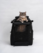 Cat Carrier Backpack with Technical Performance Materials and a Design Centered on Feline Curiosity