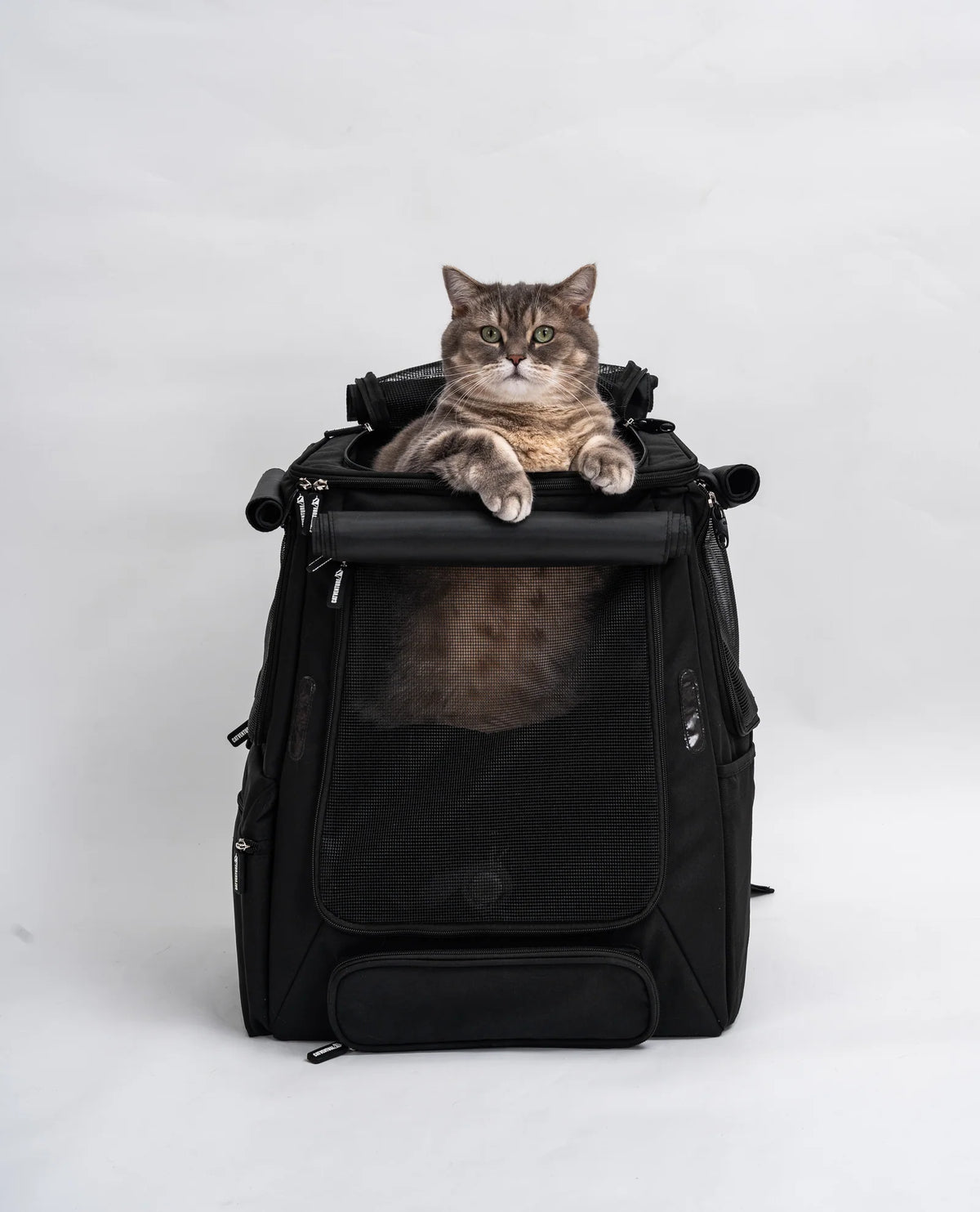 Cat Carrier Backpack with Technical Performance Materials and a Design Centered on Feline Curiosity