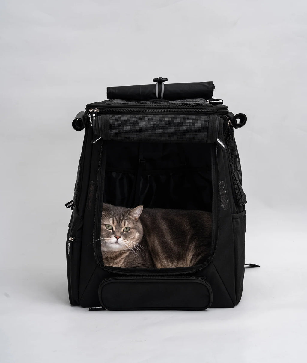 Cat Carrier Backpack with Technical Performance Materials and a Design Centered on Feline Curiosity