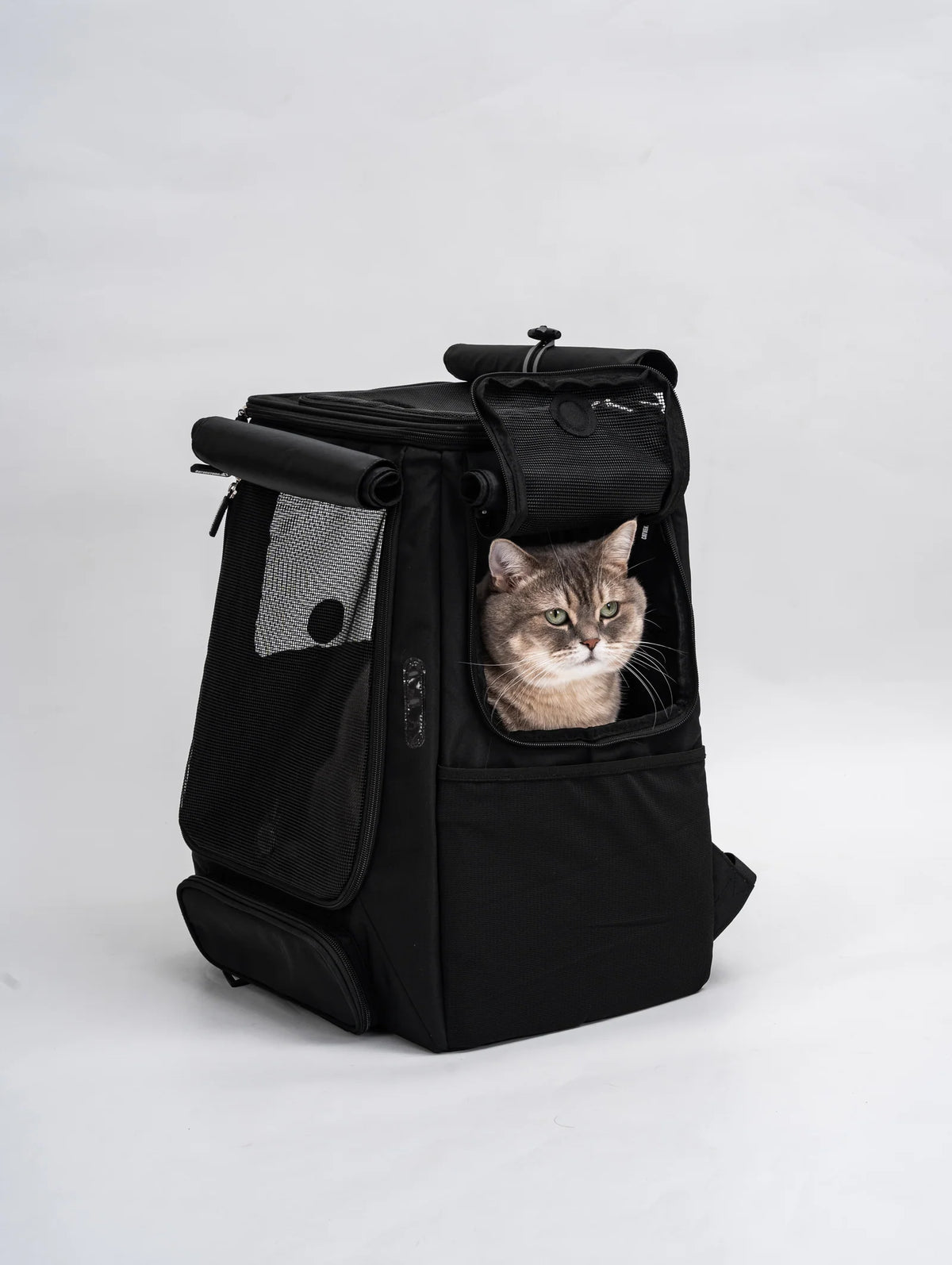 Cat Carrier Backpack with Technical Performance Materials and a Design Centered on Feline Curiosity