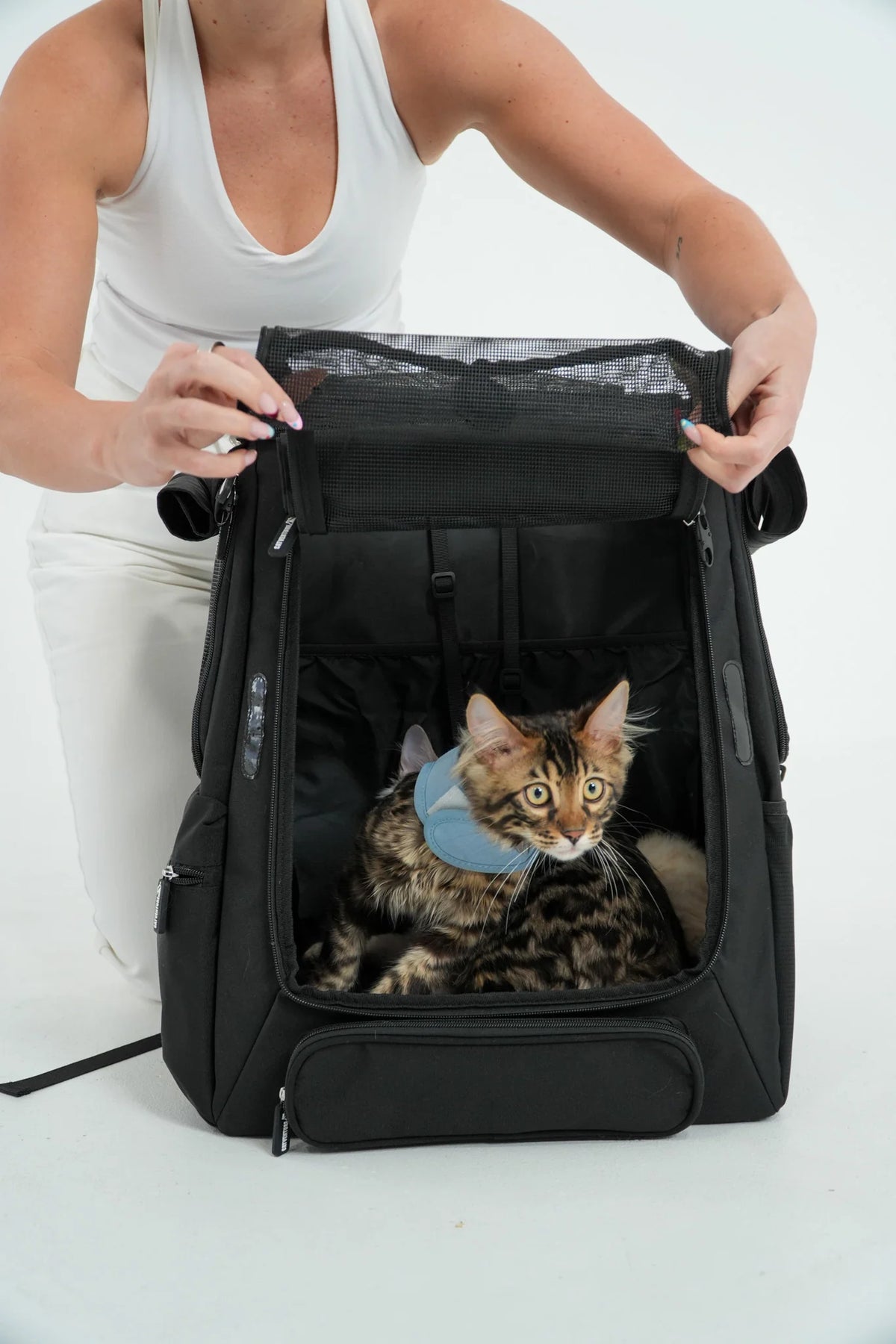 Cat Carrier Backpack with Technical Performance Materials and a Design Centered on Feline Curiosity