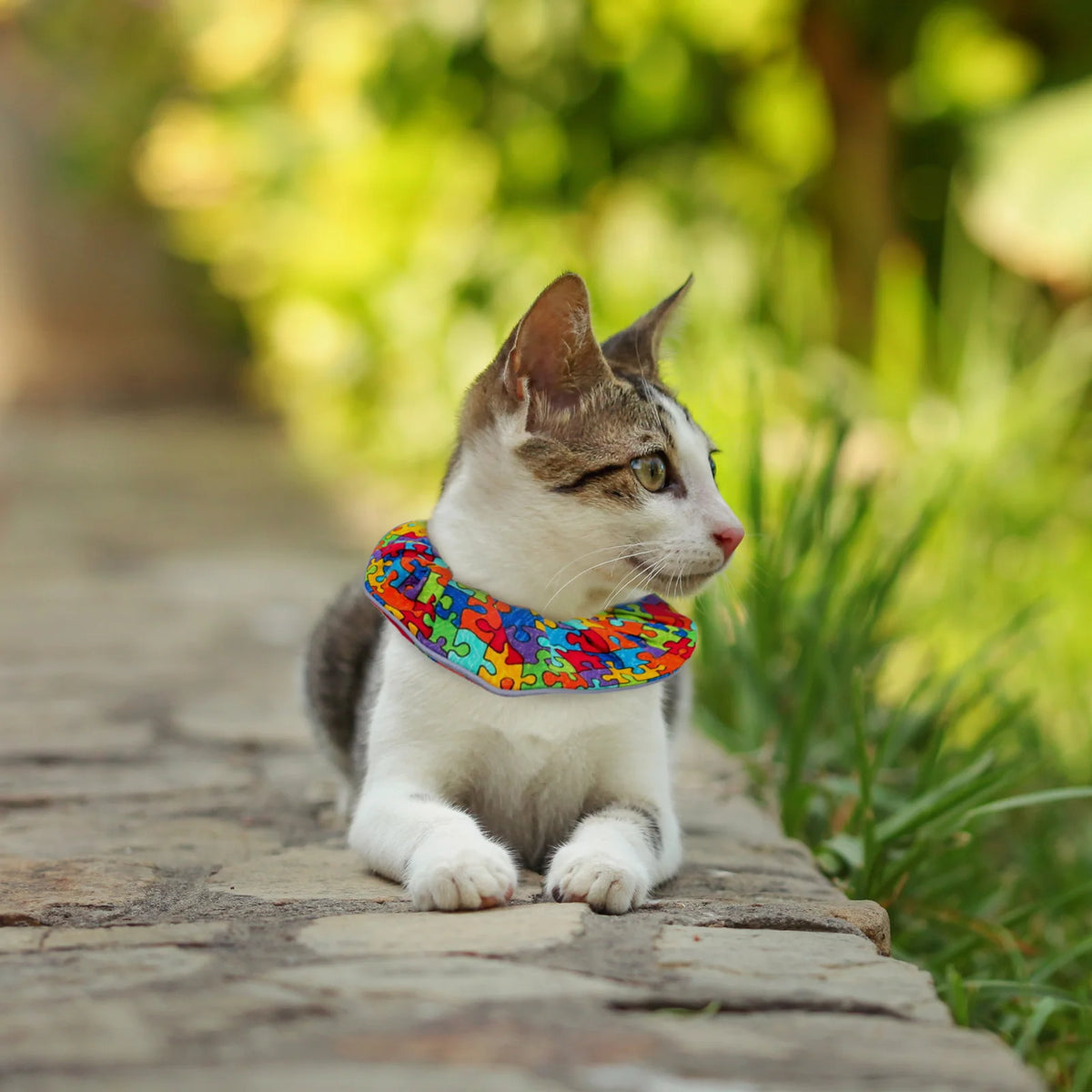 Cat Collar Cover Set of Three Cotton Prints with an Adjustable Breakaway Collar and Reflective Trim