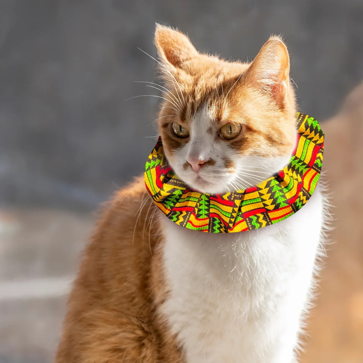 Cat Collar Cover Set of Three Cotton Prints with an Adjustable Breakaway Collar and Reflective Trim
