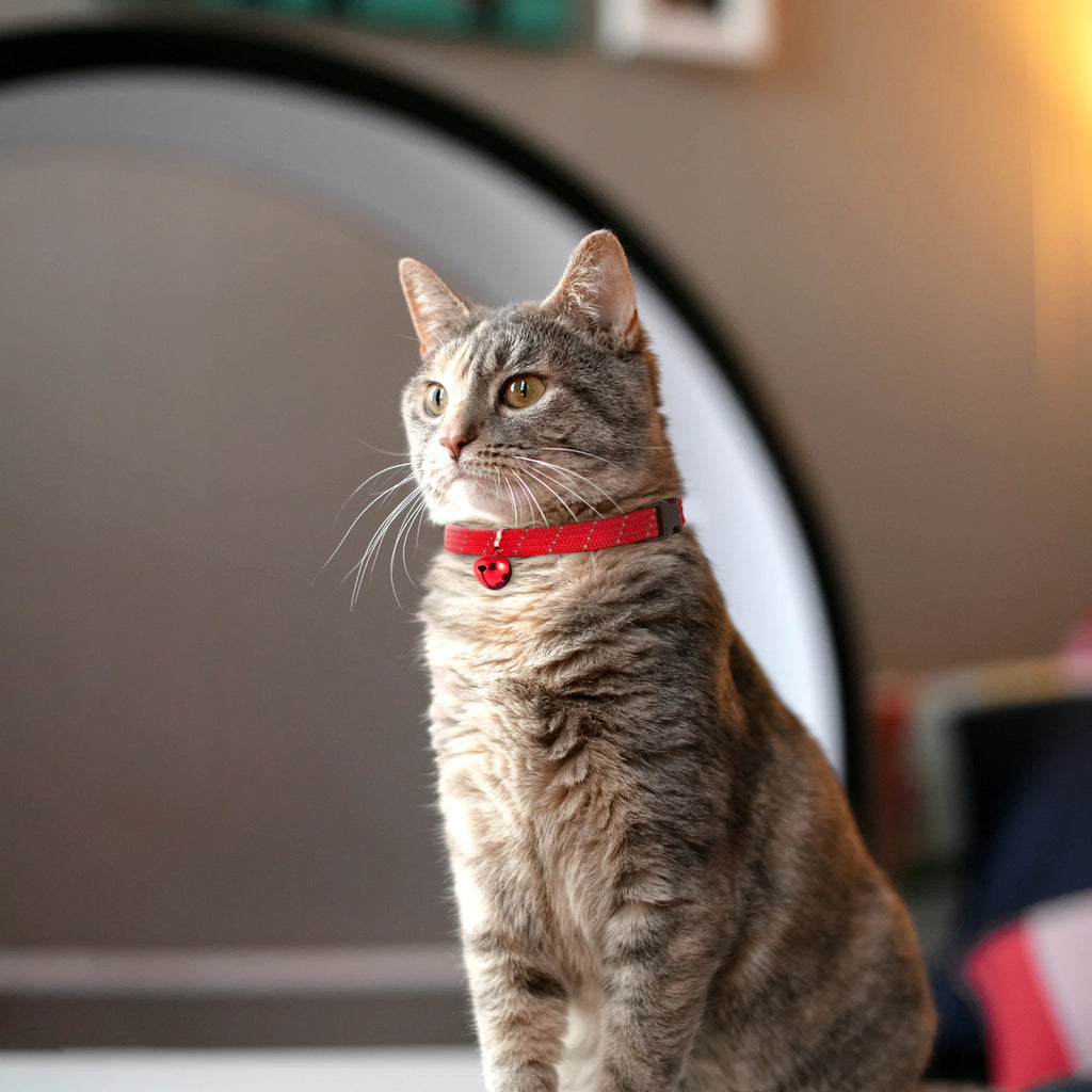 Cat Collar Cover Set of Three Cotton Prints with an Adjustable Breakaway Collar and Reflective Trim